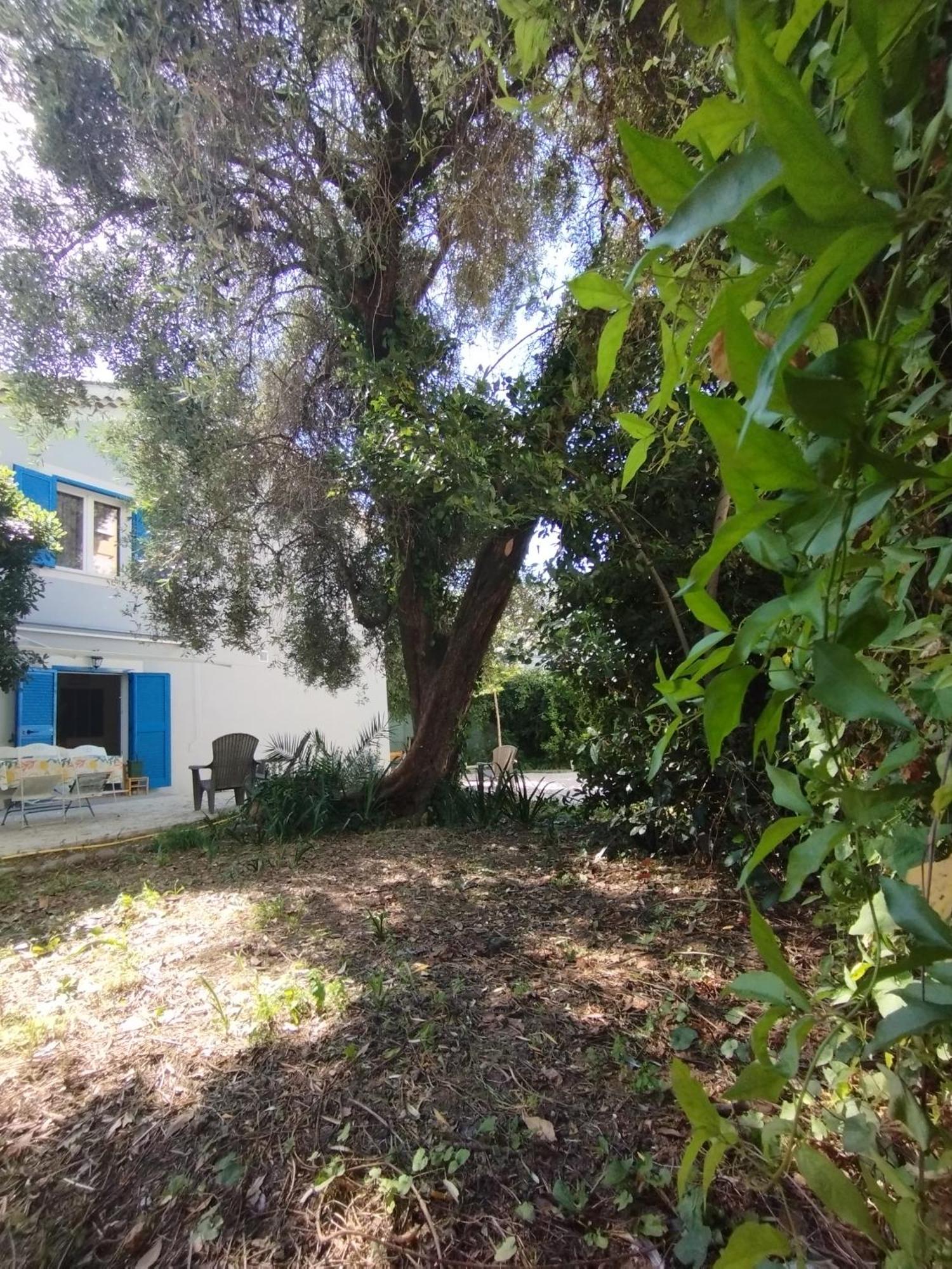 Maison D'Hotes Floribel Cagnes-sur-Mer Exterior photo